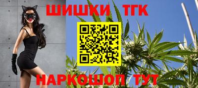 прущие грибы Севастополь